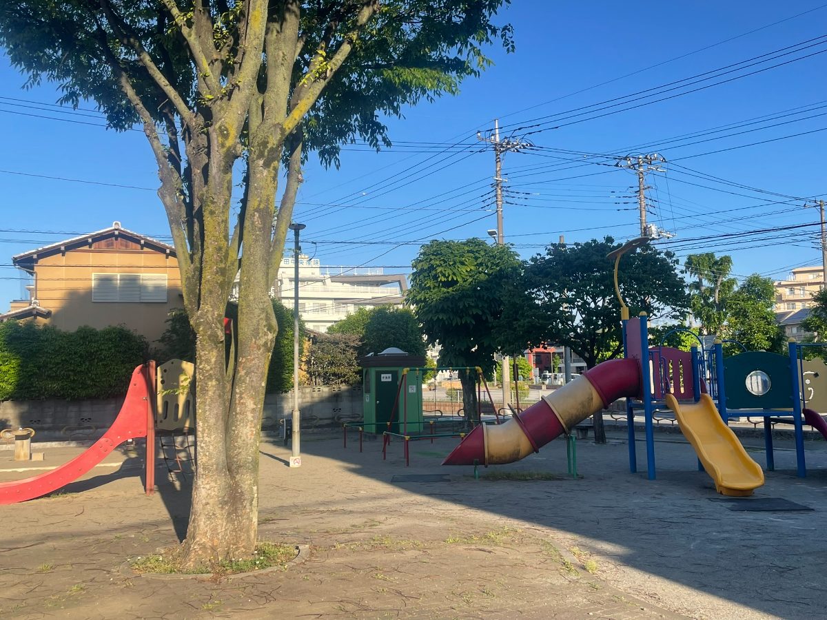 複数のすべり台と複合遊具の全景