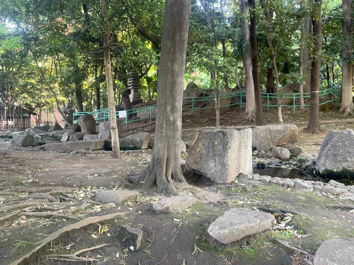 後谷公園 石組みと大木の根が広がる自然風景