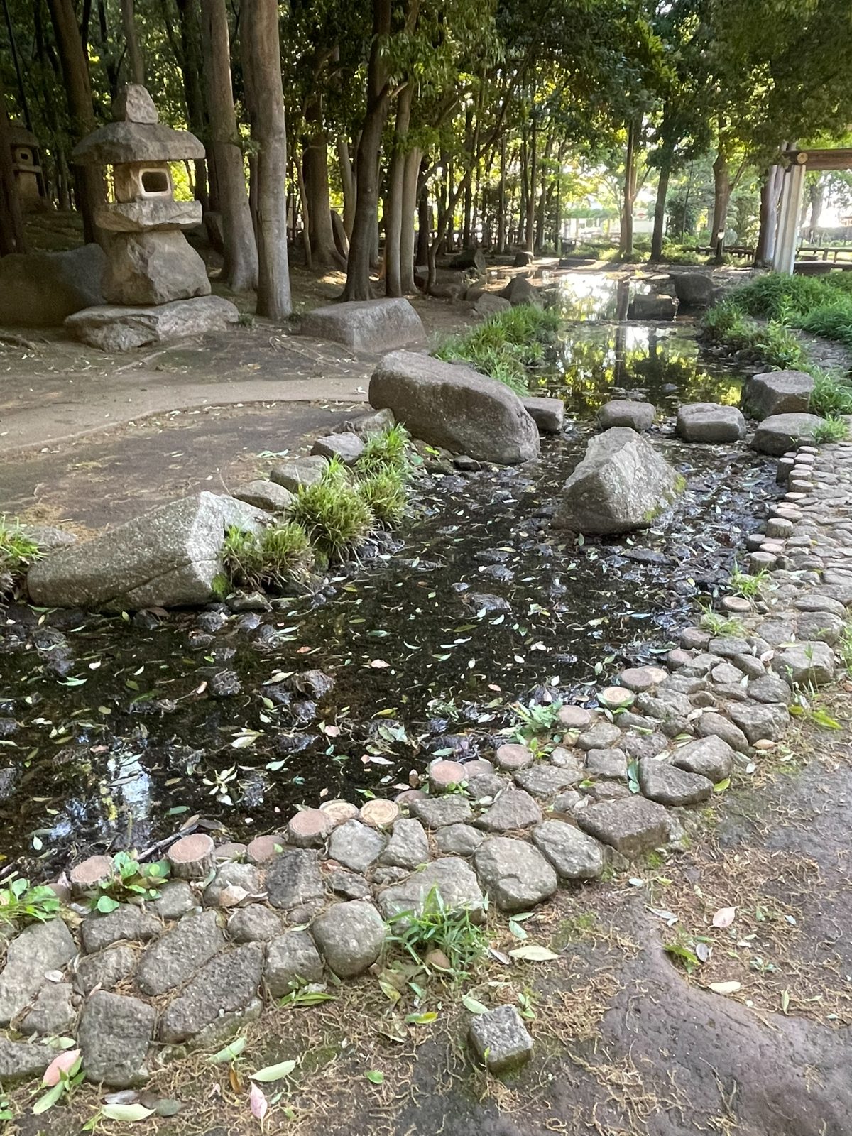 後谷公園 石灯籠と飛び石が並ぶ小川の流れ