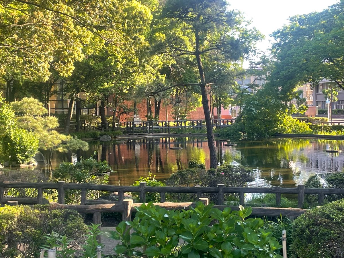 後谷公園 樹木に囲まれた静かな池と木製フェンス