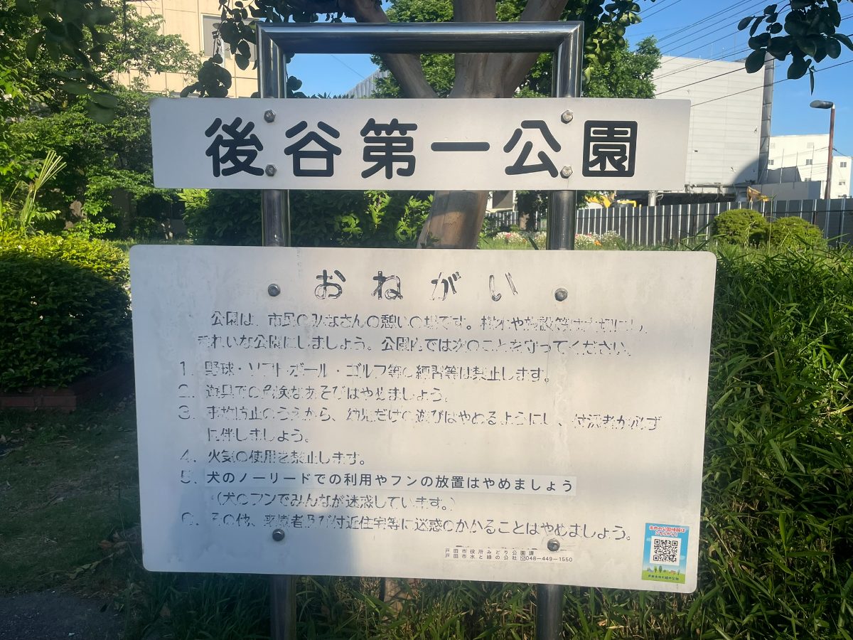 後谷第一公園の芝生広場と藤棚・段差のある園内風景