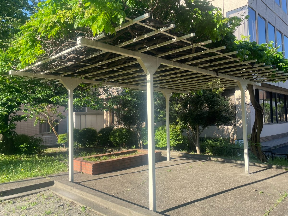 後谷第一公園の大型藤棚パーゴラ全景