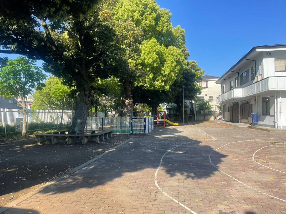川岸公園 煉瓦広場と大きな木々・複合遊具エリア全景