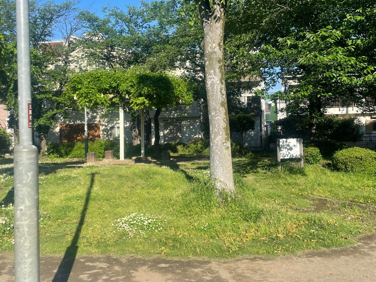中町公園の草木と大きな木陰エリア