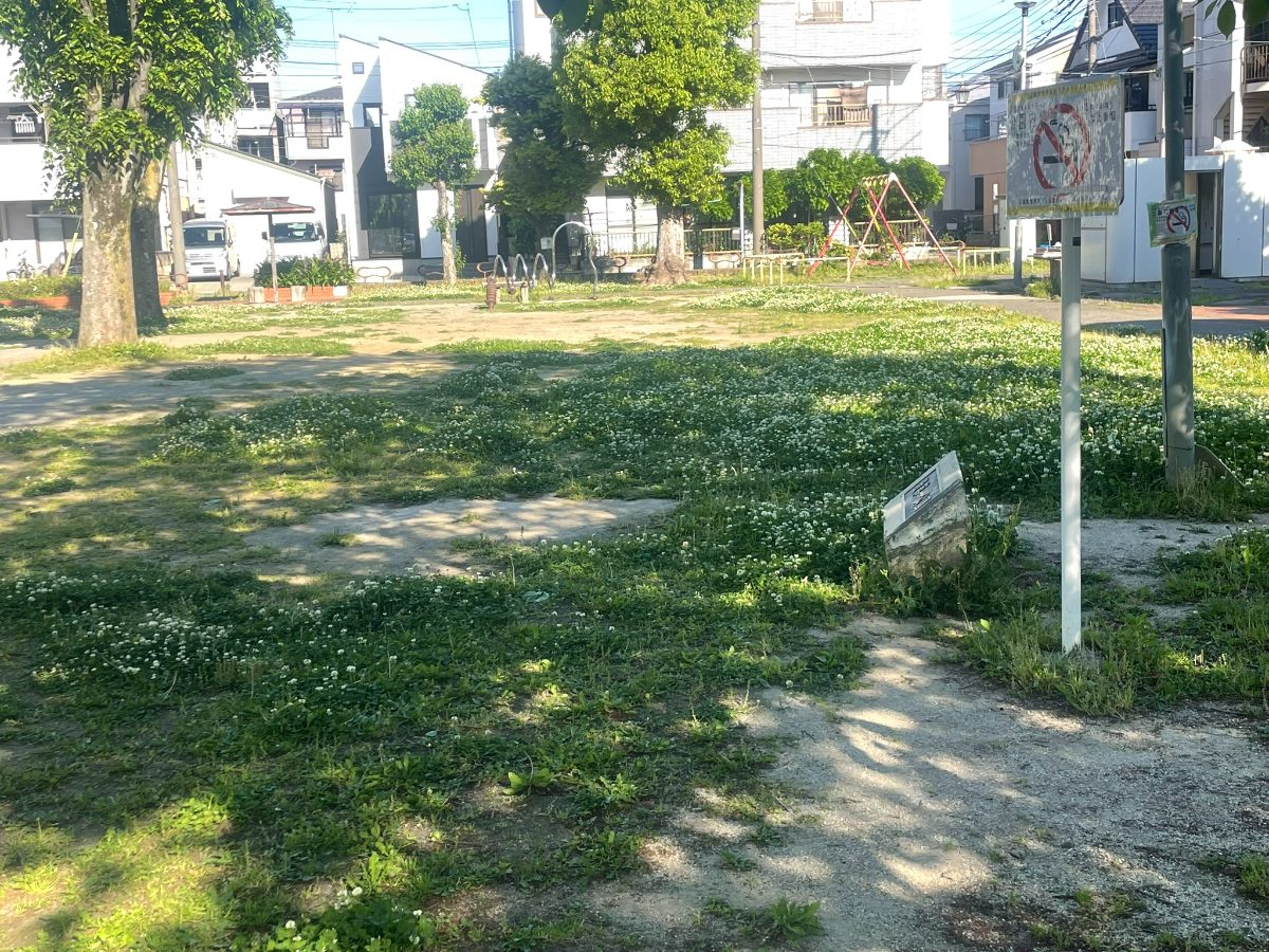 クローバーのような草地が一面に広がる後谷第一公園の広場。奥にブランコが見える